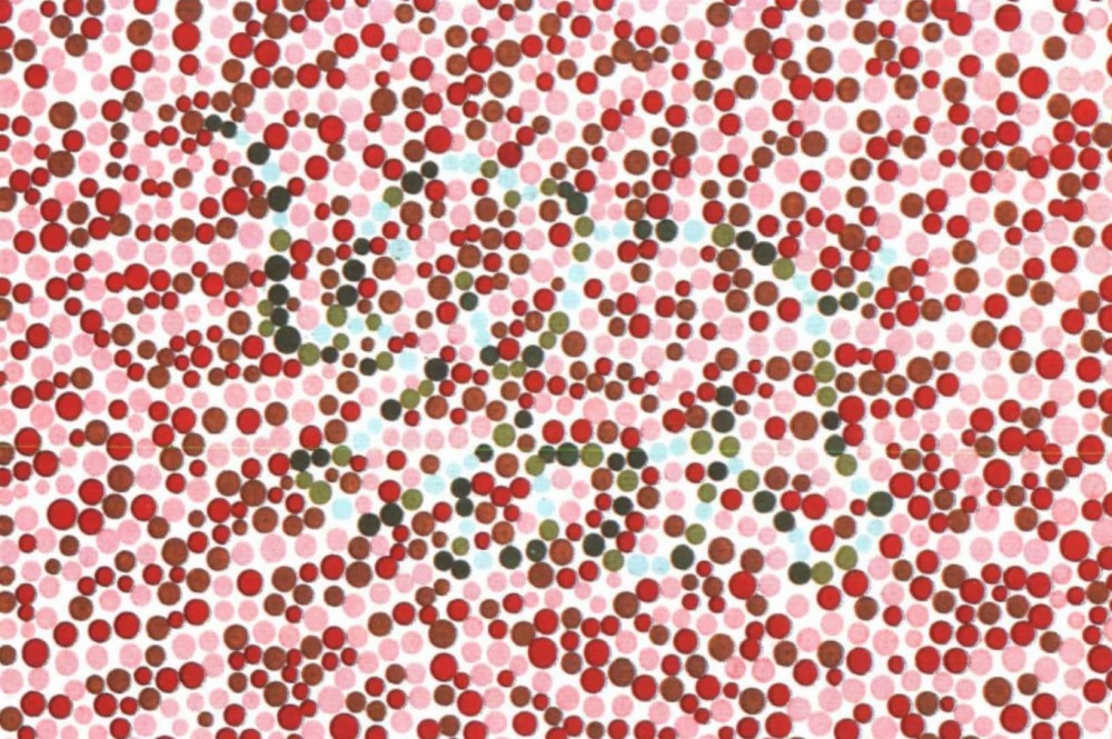 咱们来看一下,如果是蓝绿色色弱的小伙伴,可能是识别不出来图中的动物