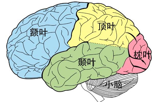 诺贝尔奖|诺奖史上的耻辱：让数万人变白痴的医生，获得了医学界最高荣誉