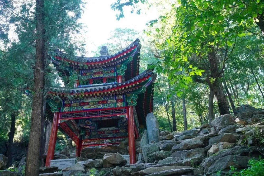 北京|红了！京城第一波红叶已上线！朝阳人家门口就能见！