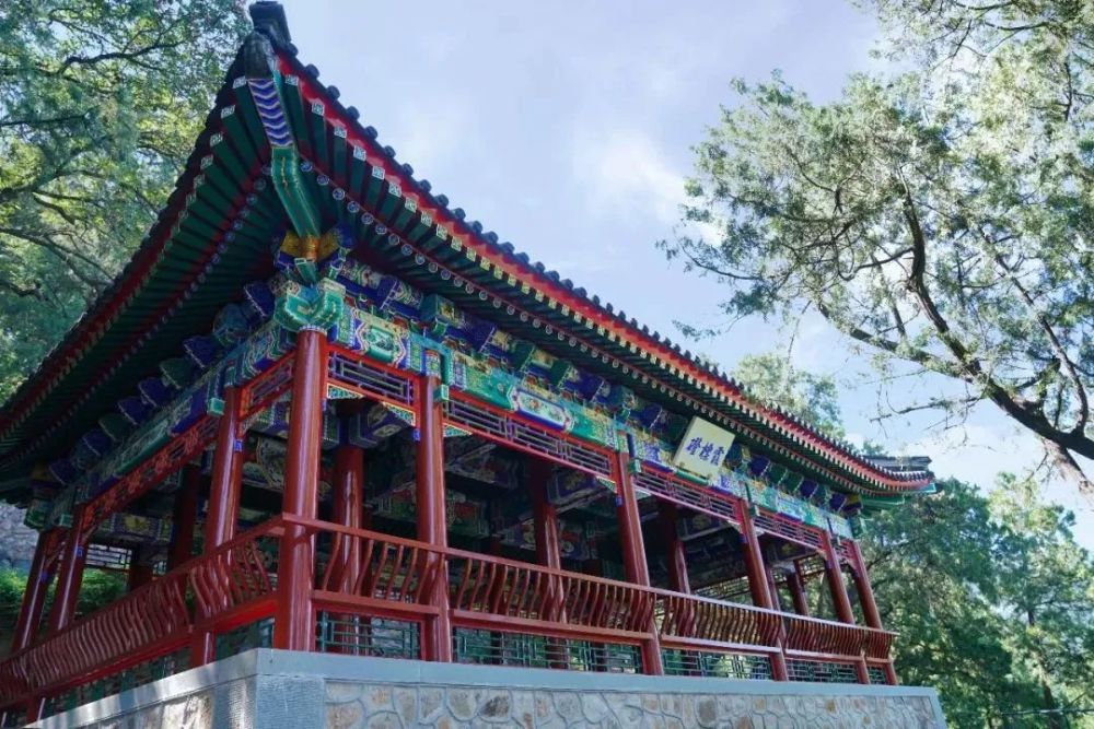 北京|红了！京城第一波红叶已上线！朝阳人家门口就能见！