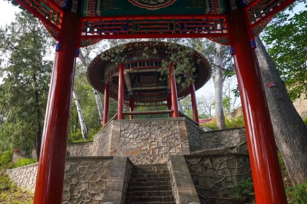 北京|红了！京城第一波红叶已上线！朝阳人家门口就能见！