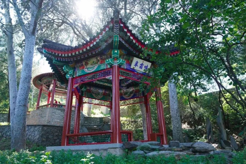 北京|红了！京城第一波红叶已上线！朝阳人家门口就能见！