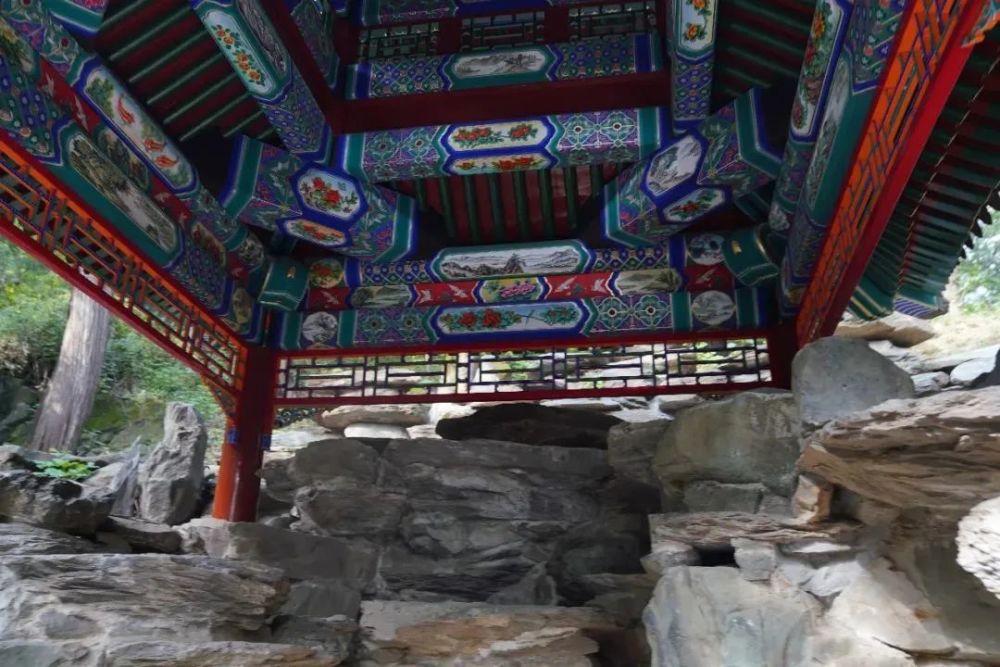 北京|红了！京城第一波红叶已上线！朝阳人家门口就能见！