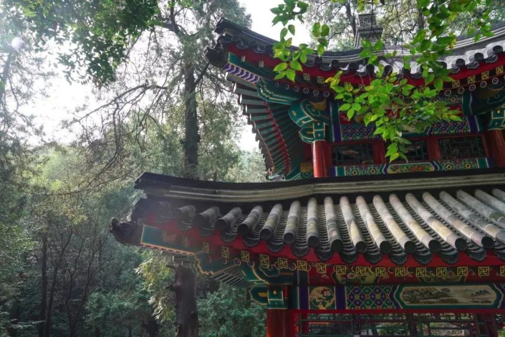 香山公园|鹦集崖、知时亭、霞标蹬、唳霜皋，北京新添赏秋好去处！