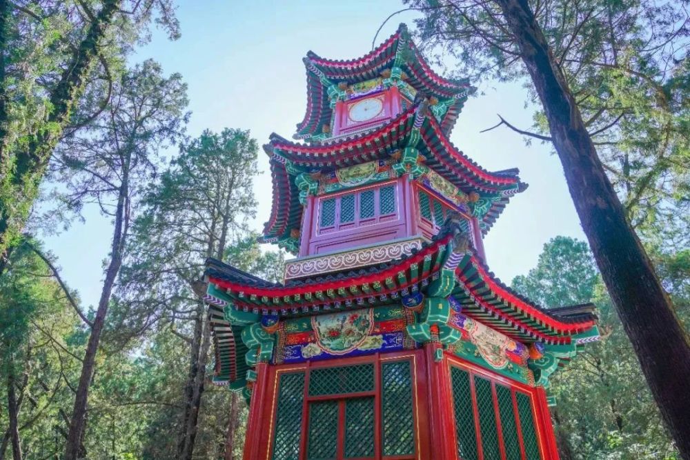 北京|红了！京城第一波红叶已上线！朝阳人家门口就能见！