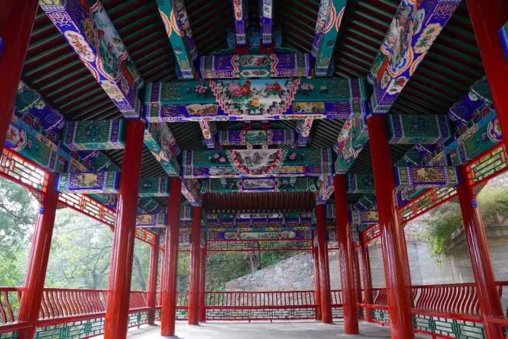 北京|红了！京城第一波红叶已上线！朝阳人家门口就能见！