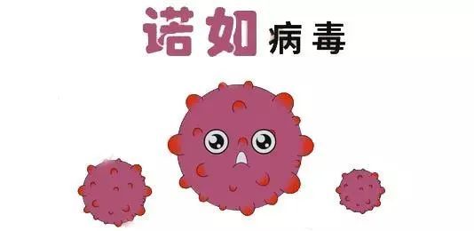 诺如病毒|黄石疾控中心最新提醒！