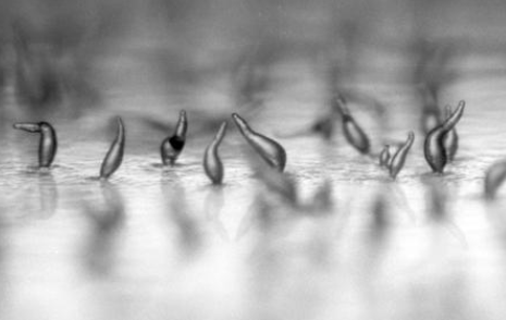 不要用水|致死率超过97％！美发布警告，建议居民“不要用水”