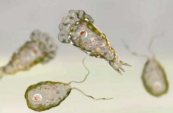 不要用水|致死率超过97％！美发布警告，建议居民“不要用水”