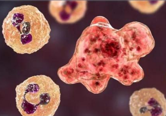 不要用水|致死率超过97％！美发布警告，建议居民“不要用水”