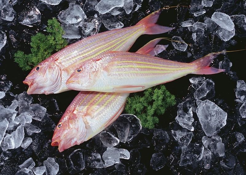 買魚時認準這6種便宜海魚純野生居多老漁民自己都愛吃