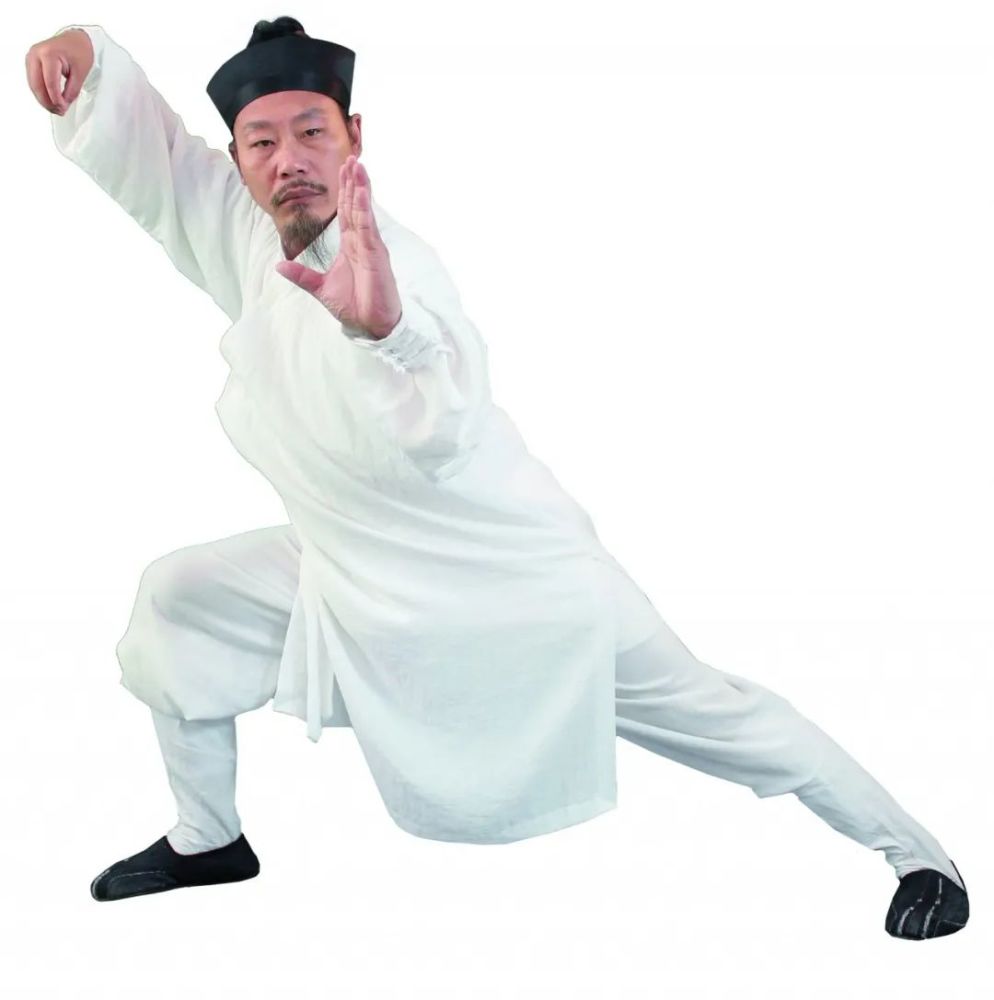 武当太极拳28势起势进入正式行功走架阶段一招一式都要严格