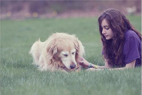 斯坦利·科恩|被人拒绝会感到伤心，但如果被狗拒绝呢？心理学家给出了答案