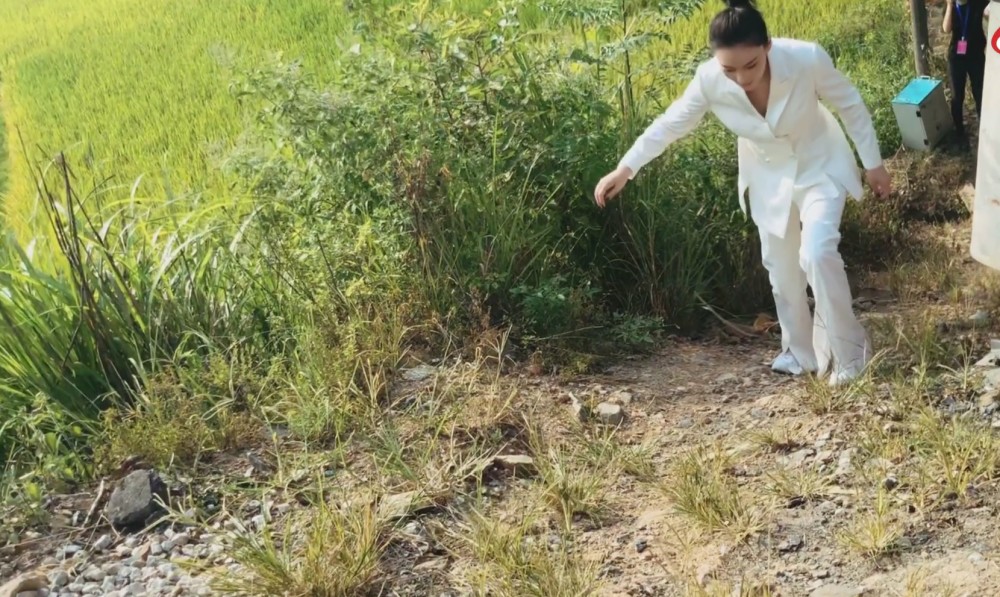 张馨予|张馨予跨界主持幕后花絮，穿礼服爬土坡，走不动就用手，不矫情尽显军嫂风范