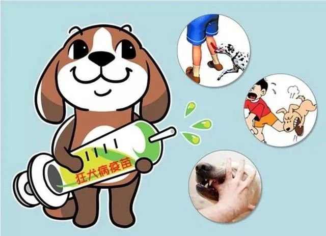 狂犬病毒|狂犬病致死率几乎100％！请让狂犬病在此结束！