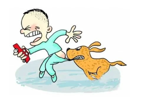 狂犬病毒|狂犬病致死率几乎100％！请让狂犬病在此结束！