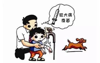 狂犬病毒|狂犬病致死率几乎100％！请让狂犬病在此结束！