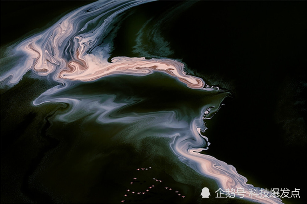 预言|2062穿越者是怎么回事？曾预言日本自然灾害，这是真的吗？