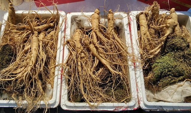 东北这家公司负债64亿 却屯了50亿人参 银行账户也被冻结 康平投资 银行 账户 负债 紫鑫药业 股东