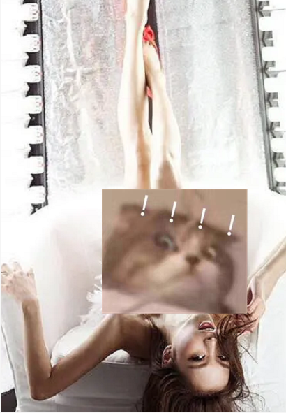 王思聪|为什么王思聪身边女伴这么多，却很久没有正式公开过女友了？