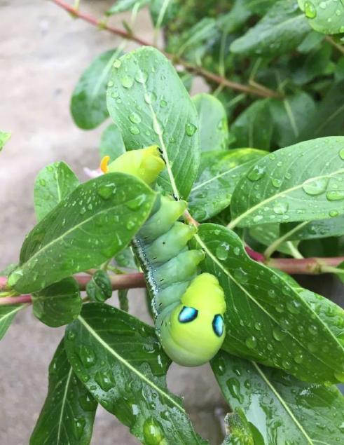 经常会有人说你这么大了还没结婚啊!