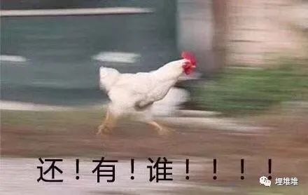 甄嬛传|大批宫斗剧被下架！凭什么？