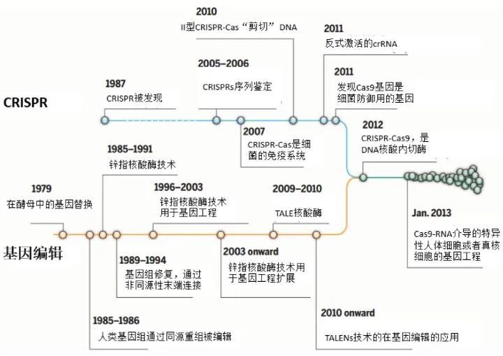 35项医疗技术发展史