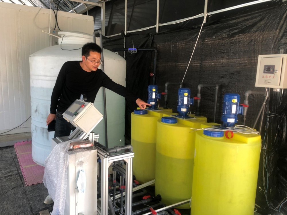 水肥|镇海一庄园用高架无土技术种草莓，只浇山泉水