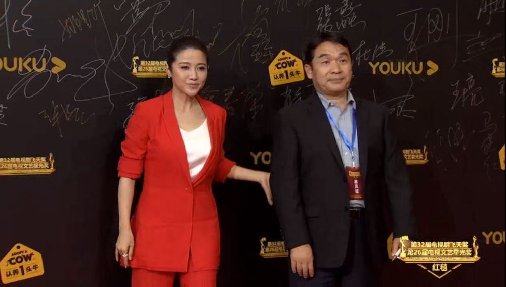 马伊琍|飞天奖红毯，孙俪压轴礼服是败笔，海清马伊琍很惊艳，陈数显憔悴