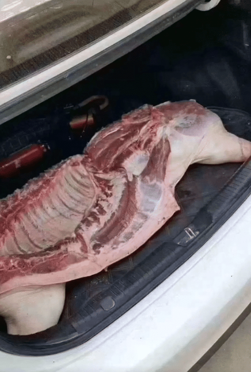 没有捡钱的命捡半边猪还可以吧哈哈哈哈哈哈趁着没醒快吃了