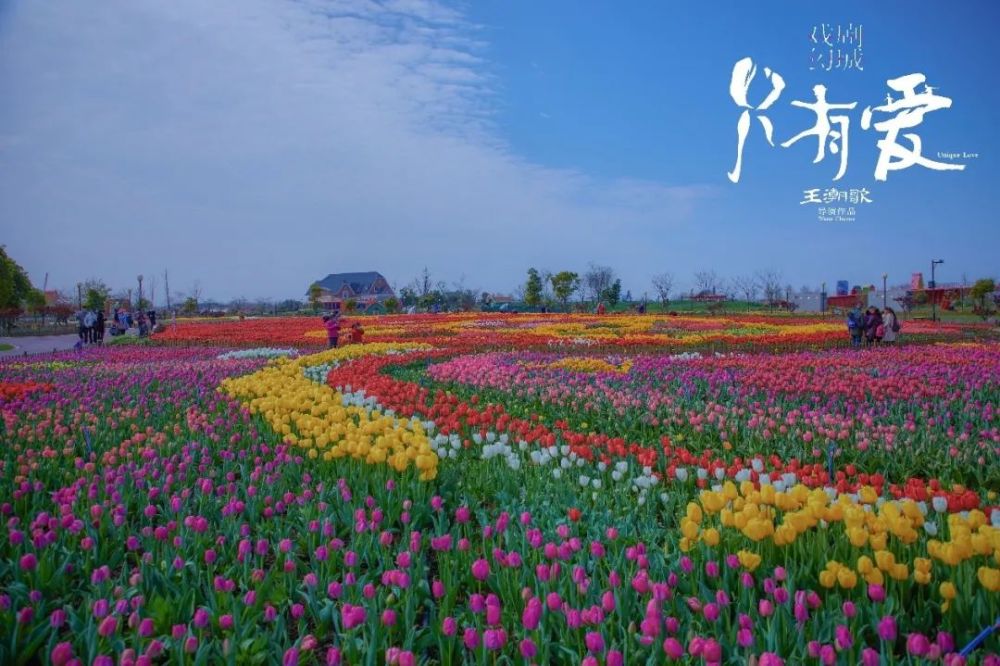 只有爱·戏剧幻城|疫后峰会齐聚《只有爱·戏剧幻城》，文旅发展有何新思考？