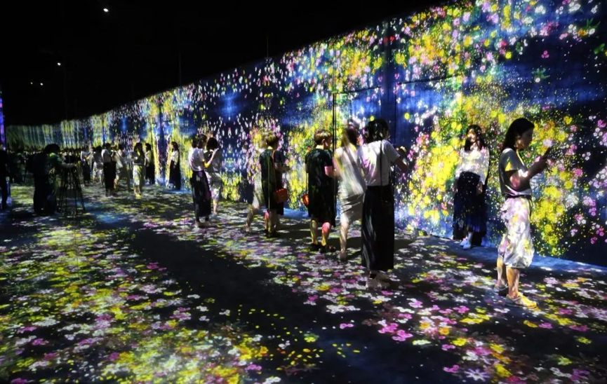 中国美术馆|2020年了，美术馆还靠办网红展博眼球吗？