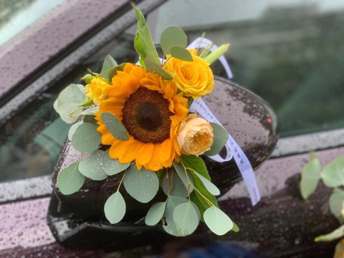 背景图 向日葵有个很好的花语 入目无他人四下皆是你 腾讯新闻