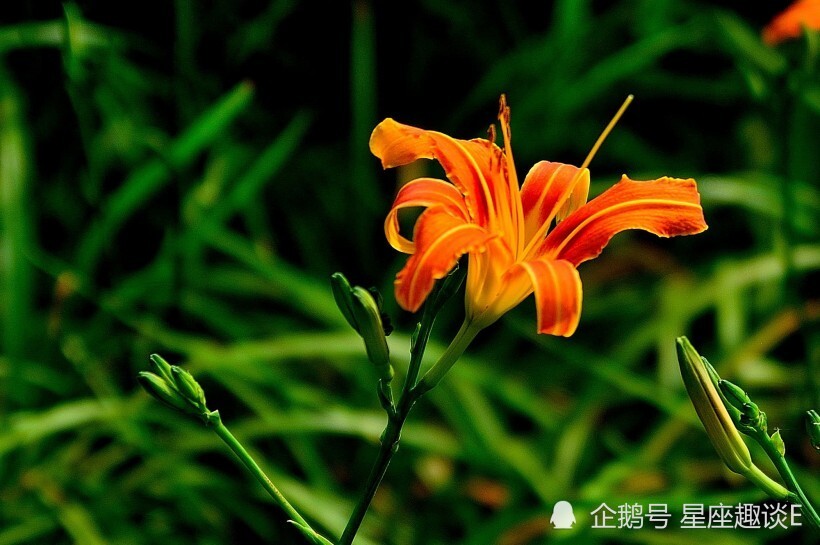 9月30日星座運勢意氣風發 充滿希冀的四大星座 藍藍塔羅星座花園