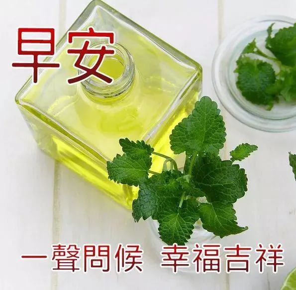 最新版早上好2022表情图片漂亮好看,最新版早上好暖心问候祝福语阳光