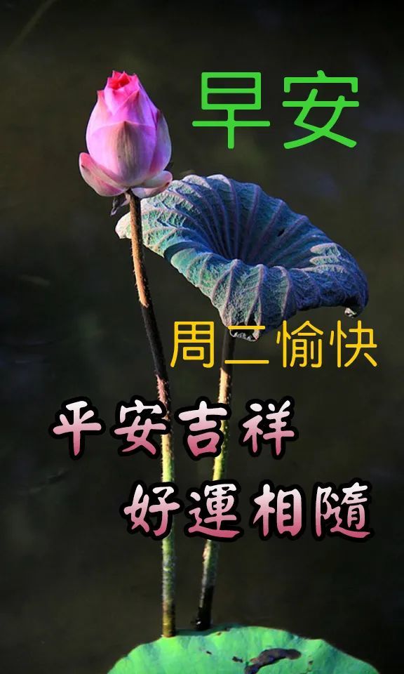 早上好问候语早上好祝福语早上好的句子