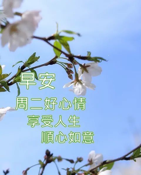 早上好問候語 早上好祝福語 早上好的句子_騰訊新聞