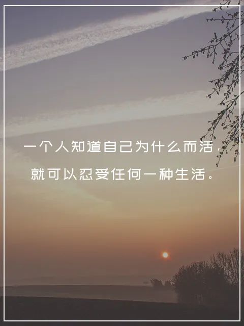 不能以遗忘的方式去生活,想要生活变得更美好,应该是在对过往的领悟中