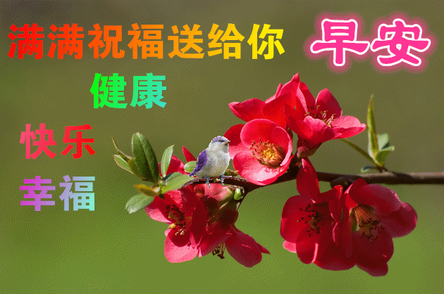 中老年表情包友情常相聚缘分要珍惜