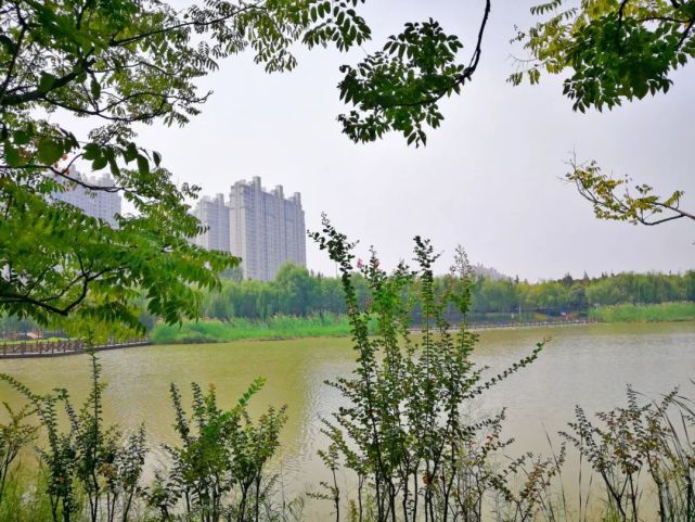 洛陽城市新名片,最新網紅公園,興洛湖公園