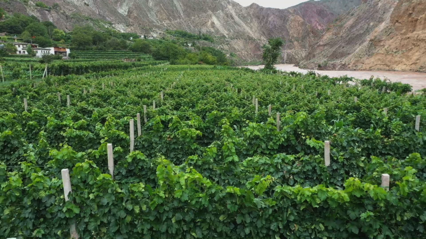 芒康县企业建站_(芒康县在建什么电站)