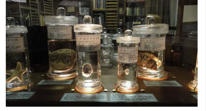 伍汉霖|为啥日本皇室盛产“生物迷”？