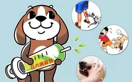 狂犬病疫苗|被家养宠物狗咬了，没流血没破皮，需要去打狂犬疫苗吗？