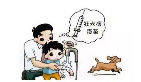 狂犬病疫苗|被家养宠物狗咬了，没流血没破皮，需要去打狂犬疫苗吗？