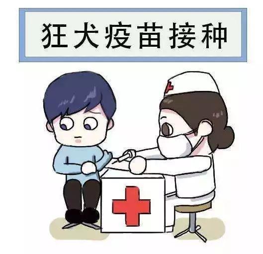 狂犬病疫苗|被家养宠物狗咬了，没流血没破皮，需要去打狂犬疫苗吗？