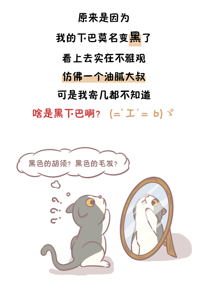 猫主子|猫粮太油能造成黑下巴？辟谣：没必然因果关系，主要是这6个原因