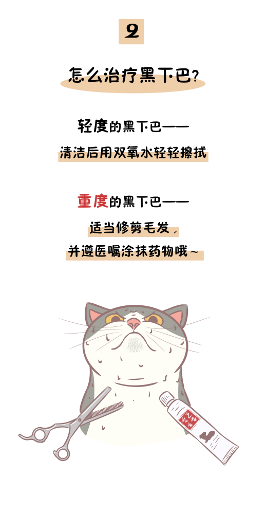 猫主子|猫粮太油能造成黑下巴？辟谣：没必然因果关系，主要是这6个原因