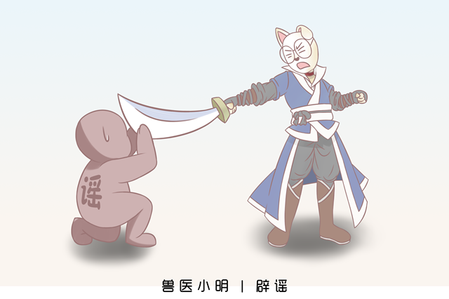 猫主子|猫粮太油能造成黑下巴？辟谣：没必然因果关系，主要是这6个原因