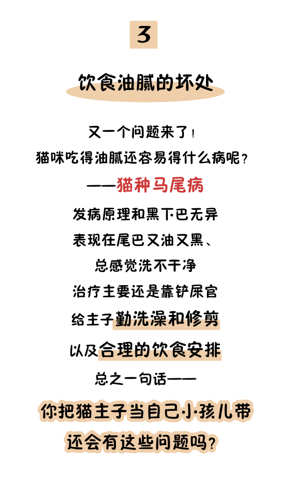 猫主子|猫粮太油能造成黑下巴？辟谣：没必然因果关系，主要是这6个原因