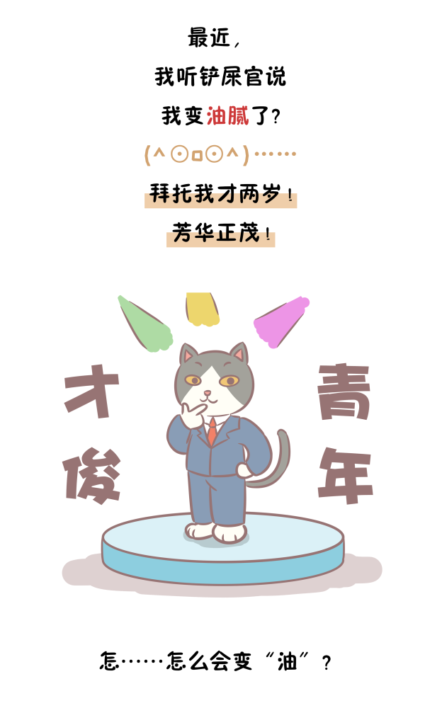 猫主子|猫粮太油能造成黑下巴？辟谣：没必然因果关系，主要是这6个原因